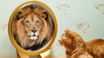 What are Self-Image and Self-Esteem, and How Can You Improve Low Self-Image?
